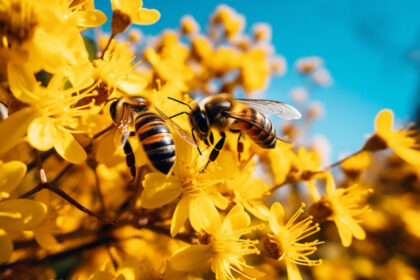 Czy wiesz, że pszczoły nie są jedynymi zapylaczami?