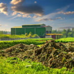 Jak rolnik może przekształcić swoje gospodarstwo w ekologiczne?